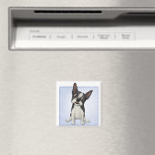 Aimant Boston Terrier BOST1 (In Situ (Lave-vaisselle))