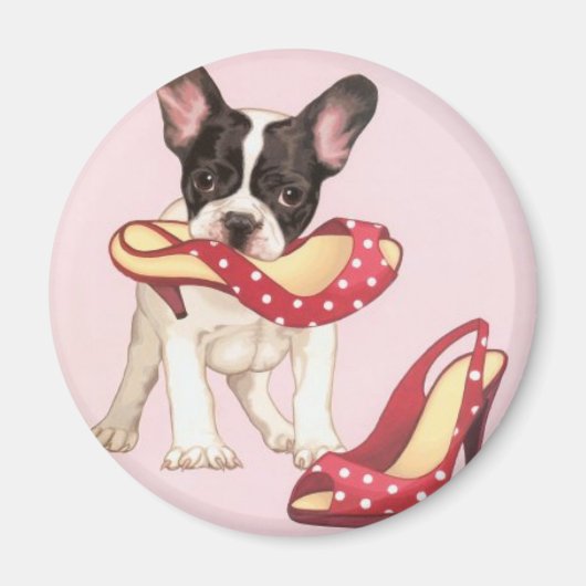 Aimant Boston Terrier Chiot Avec Chaussures (Devant)