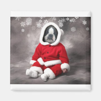 AIMANT BOSTON TERRIER DANS LA SORTIE XMAS