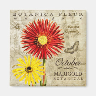 Aimant Botanica octobre