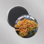 Aimant Botanique de champignon de poulets de bois