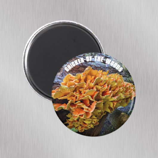 Aimant Botanique de champignon de poulets de bois