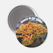 Aimant Botanique de champignon de poulets de bois (Recto/Verso)