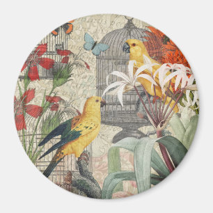Aimant Botanique Vintage Oiseaux Nature Tropical Antique