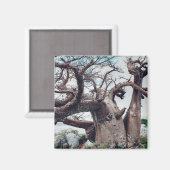 Aimant Botswana Kubu Island Baobab Tree Magazine (Recto/Verso)