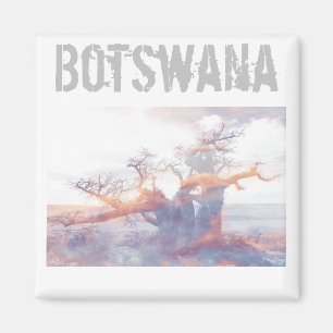 Aimant Botswana Kubu Island Baobab Tree Magazine