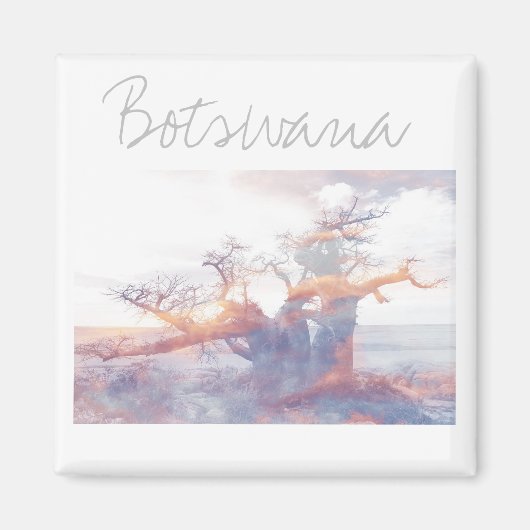 Aimant Botswana Kubu Island Baobab Tree Magazine (Devant)