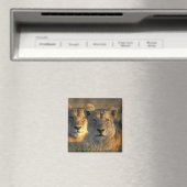 Aimant Botswana, Parc national de Chobe, Lionesses (In Situ (Lave-vaisselle))