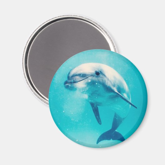 Aimant Bottlenosed Dolphin Underwater (Recto/Verso)