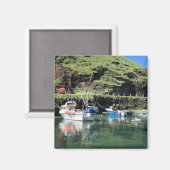 Aimant Bouclier (Recto/Verso)