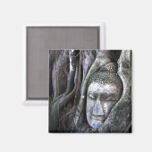 Aimant Bouddha Et Le Bouddhisme Arbre Thaïlande Photograp (Recto/Verso)