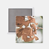 Aimant Bougainvillée rouge (Recto/Verso)