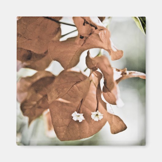 Aimant Bougainvillée rouge (Devant)