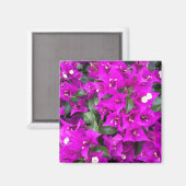 Aimant Bougainvilliers violets vifs (Recto/Verso)