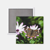 Aimant Boukeye papillon sur les fleurs violettes (Recto/Verso)