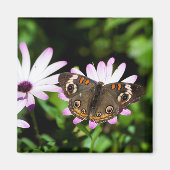 Aimant Boukeye papillon sur les fleurs violettes (Devant)