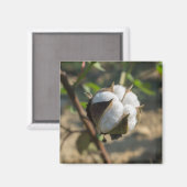 Aimant Boule de coton (Recto/Verso)