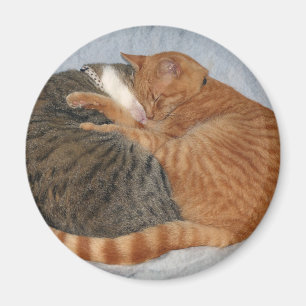 Aimant Boule de la laideur