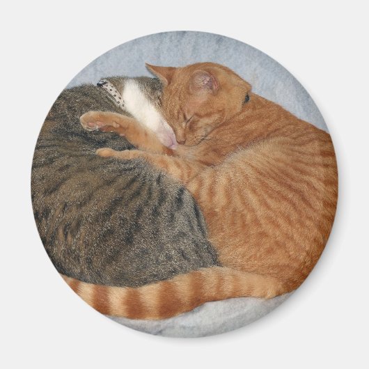 Aimant Boule de la laideur (Devant)