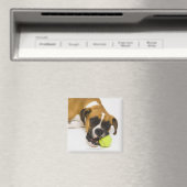 Aimant Boule de tennis de chien (In Situ (Lave-vaisselle))