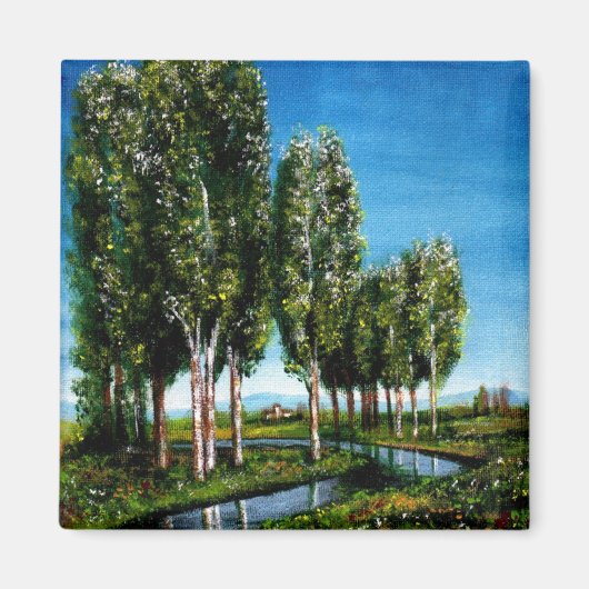 AIMANT BOULEAUX EN TOUSCANE (Devant)