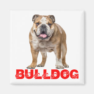 Aimant Bouledogue Amusing Amant Drôle Bully Chien Canin