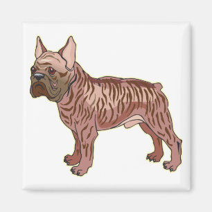 Aimant Bouledogue français