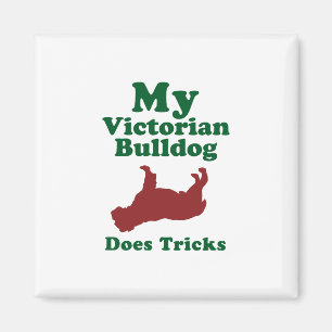 Aimant Bouledogue victorien