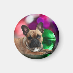 Aimant Bouledogues français colorés