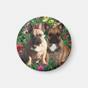 Aimant Bouledogues français Pâques Bouledogue français