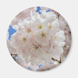 Aimant Boules De Fleur Rose.