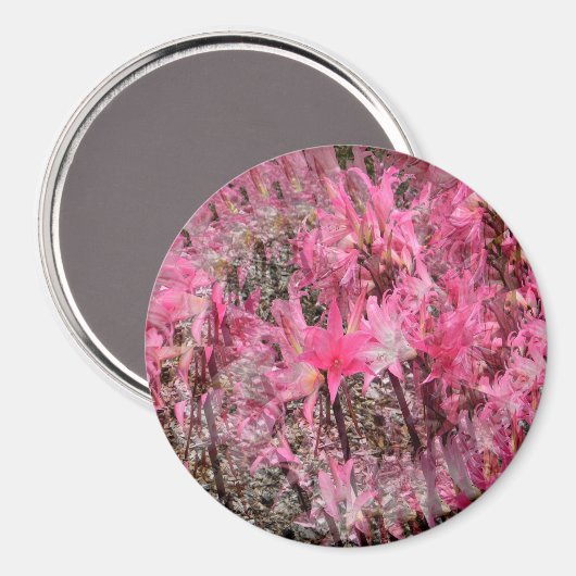 Aimant Bouquet d'Amaryllis..... (Recto/Verso)