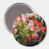 Aimant Bouquet de Begonias... (Recto/Verso)