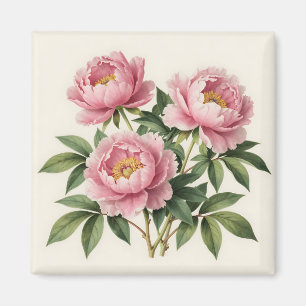 Aimant Bouquet de pivoines roses Illustration botanique v