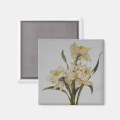 Aimant Bouquet Double Narcissi Art Floral (Recto/Verso)