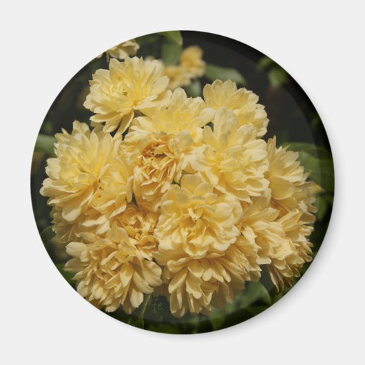 Aimant bouquet jaune (Devant)