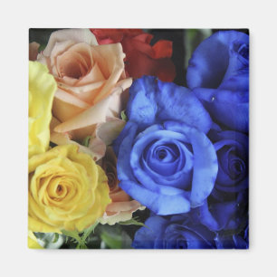 Aimant Bouquets de roses fraîches assortis