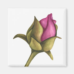 Aimant bourgeon de pivoine