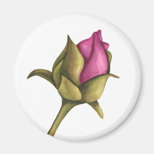 Aimant bourgeon de pivoine