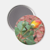 Aimant bourgeon rose jaune et orange (Recto/Verso)