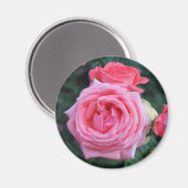 Aimant Bourgeons de Rose Rose (Recto/Verso)