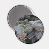 Aimant bourgeons de sapin (Recto/Verso)