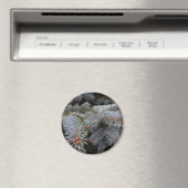 Aimant bourgeons de sapin (In Situ (Lave-vaisselle))