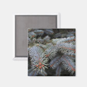 Aimant bourgeons de sapin (Recto/Verso)