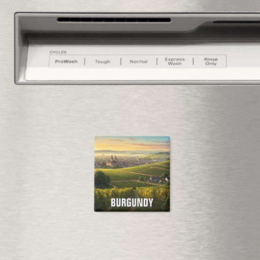 Aimant Bourgogne (In Situ (Lave-vaisselle))