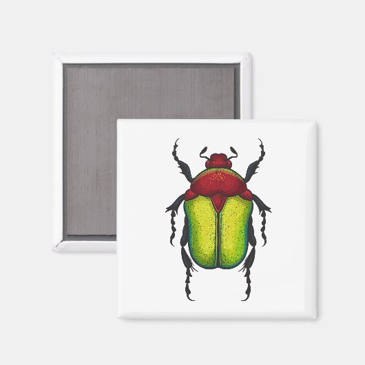 Aimant Bousier (Recto/Verso)