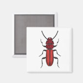 Aimant Bousier rouge (Recto/Verso)