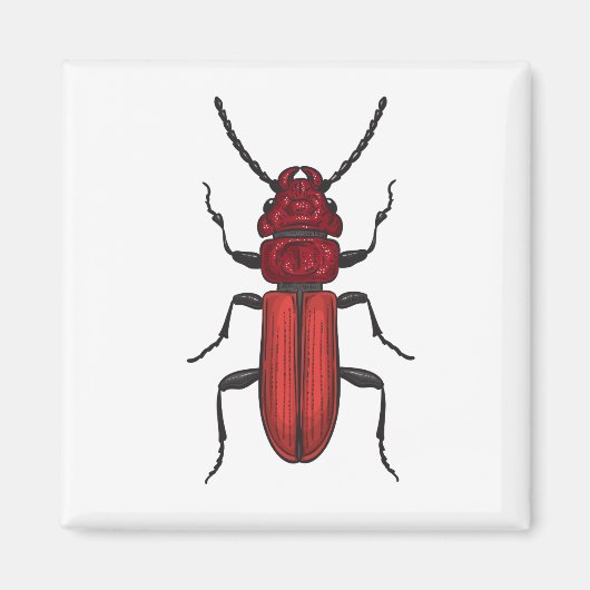 Aimant Bousier rouge (Devant)