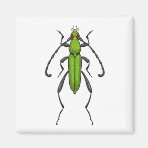 Aimant Bousier vert