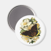AIMANT BOUTEILLE ET FLEURS BLANCHES (Recto/Verso)